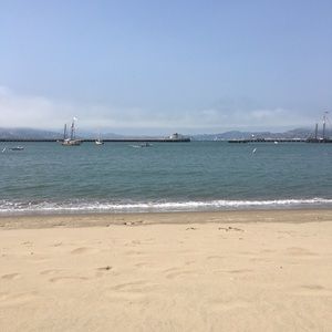 Meet your Posher, Riley